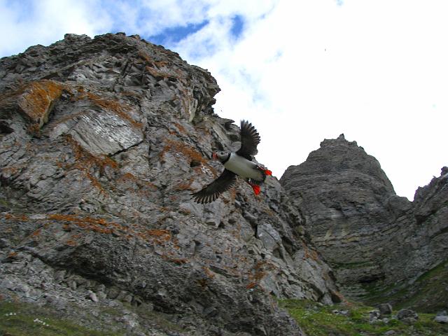 phantomodden_15july 065.jpg